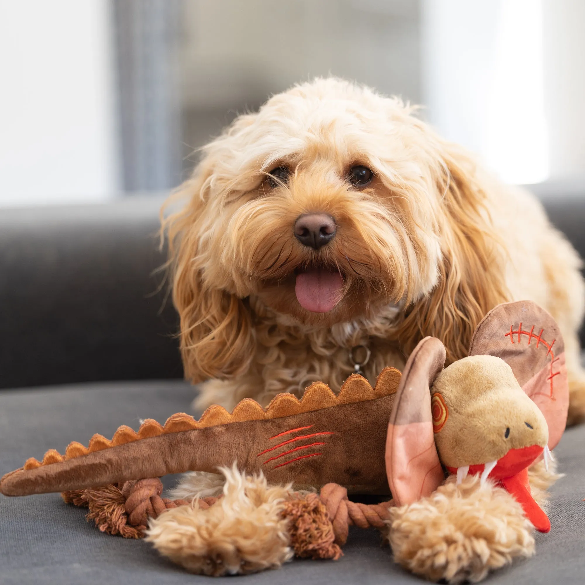 3 Toy Pack & Tote - Aussie Critters